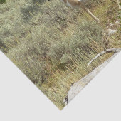 プロングポーンアットグランドテトン国立公園 薄葉紙 (詳細)