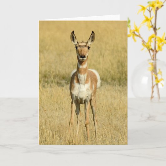 プロングルノテカード カード (黄色い花)