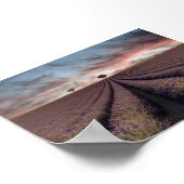 プロヴァンスのラベンダー畑 ポスター (角)