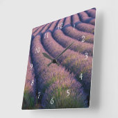 プロヴァンスのラベンダー スクエア壁時計 (傾斜)