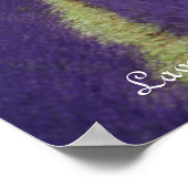 プロヴァンスのラベンダー ポスター (角)