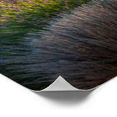 プロヴァンスのラベンダー ポスター (角)