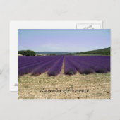 プロヴァンスのラベンダー ポストカード (正面/裏面)