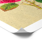 プロヴァンスバラヴィンテージ ポスター (角)