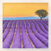 プロヴァンス ガラスコースター (正面)