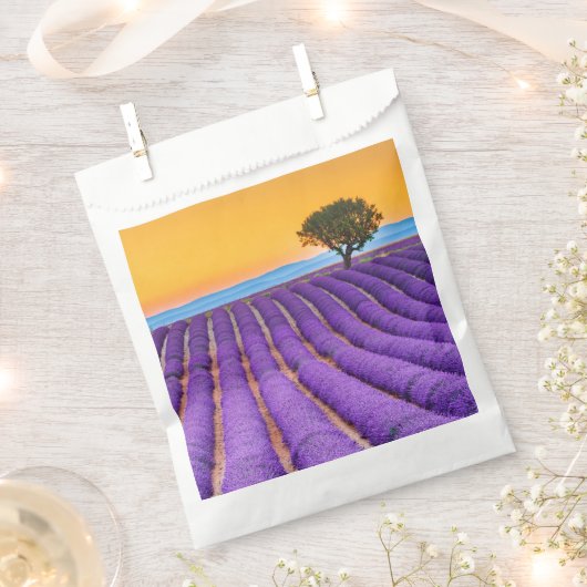 プロヴァンス フェイバーバッグ (クリップ留めされた状態)