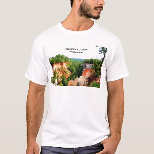プロヴィデンス渓谷- Lumpkin、ジョージア Tシャツ (正面)