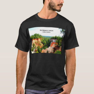 プロヴィデンス渓谷- Lumpkin、ジョージア Tシャツ