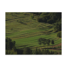 プロヴィレッジオブプリムブルキニヒルズ，スロベニア