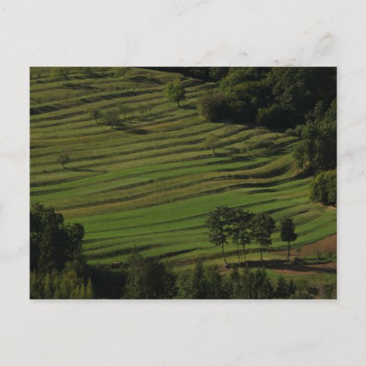 プロヴィレッジオブプリムブルキニヒルズ，スロベニア ポストカード (正面)