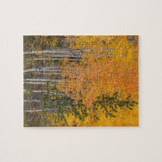 プロヴォリバーと《植物》アスペンの木 ジグソーパズル (横)