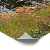 プロヴォリバーと《植物》アスペンの木 ポスター (角)