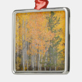 プロヴォリバーと《植物》アスペンの木 メタルオーナメント (左)