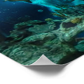 プロールのサメ ポスター (角)