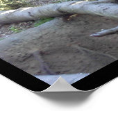 プロール ポスター (角)