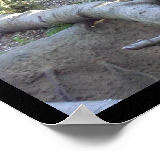 プロール ポスター (角)