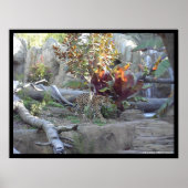 プロール ポスター (正面)