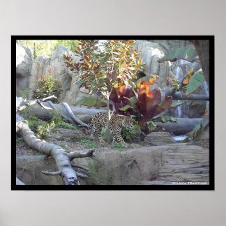 プロール ポスター