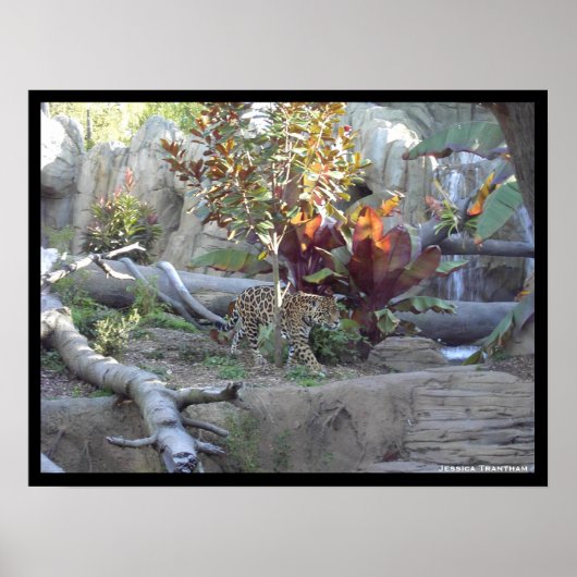 プロール ポスター (正面)