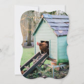 プンおもしろいチキンクリスマスフォトホリデーカード シーズンカード (裏面)