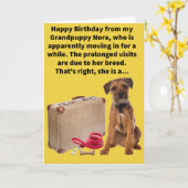 プンおもしろいボーダーテリアハッピーバースデー カード (黄色い花)