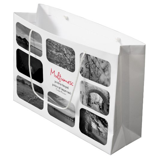 プンギペントゥルカドドゥパラサス ラージペーパーバッグ (正面アングル)