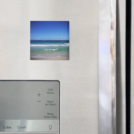 プンタカナ海,ドミニカ共和国 マグネット (インサイチュ (冷蔵庫))