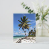 プンタカナ、ドミニカ共和国、ココナッツヤシの木 シーズンポストカード (スタンド正面)