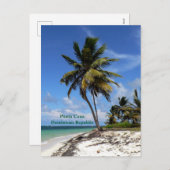 プンタカナ、ドミニカ共和国、ココナッツヤシの木 シーズンポストカード (正面/裏面)