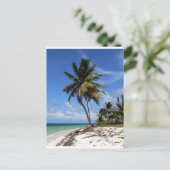 プンタカナ、ドミニカ共和国、ココナッツヤシの木 ポストカード (スタンド正面)