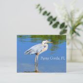 プンタゴルダFLはがき ポストカード (スタンド正面)