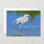 プンタゴルダFLはがき ポストカード (正面/裏面)