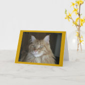 "プーキー" カード (黄色い花)