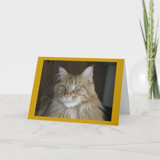 "プーキー" カード (正面)