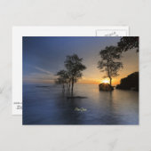 プーコック島（ベトナム） ポストカード (正面/裏面)