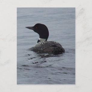 プーシャー湖のloon ポストカード