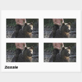 プーチンはクマに乗る！ 長方形シール (シート)