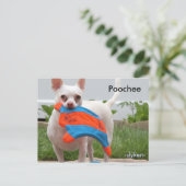 プーチ， -slyken- ポストカード (スタンド正面)