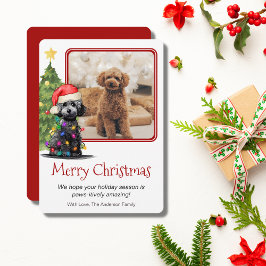 プードルとクリスマスツリーペットドッグワンフォト シーズンカード