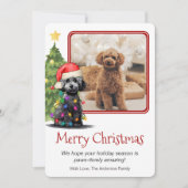 プードルとクリスマスツリーペットドッグワンフォト シーズンカード (正面)