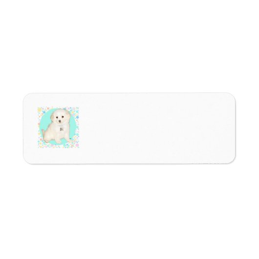 プードルとビションのミックス犬の子犬の人生のお祝い ラベル (正面)