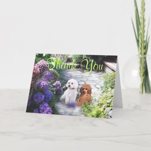 プードルのサンキューカードのアジサイ サンキューカード (正面)
