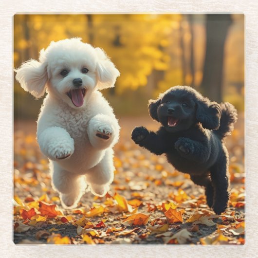 プードルの子犬のジャンプ ガラスコースター (正面)