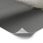 プードルの山々が灰色の背景に ポスター (角)