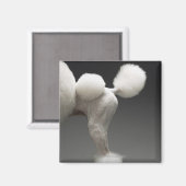 プードルの山々が灰色の背景に マグネット (正面/裏面)