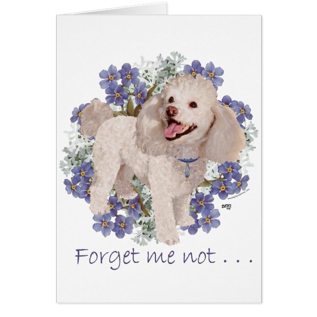 プードルの思い出 (正面)