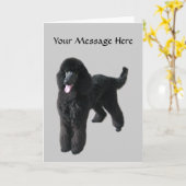 プードルの挨拶状 カード (黄色い花)