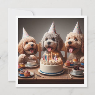 プードルの犬のカード, プードルの誕生日 招待状