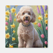 プードルの犬の春の花の絵 マグネット (正面)
