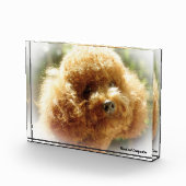 プードルの犬 フォトブロック (右)